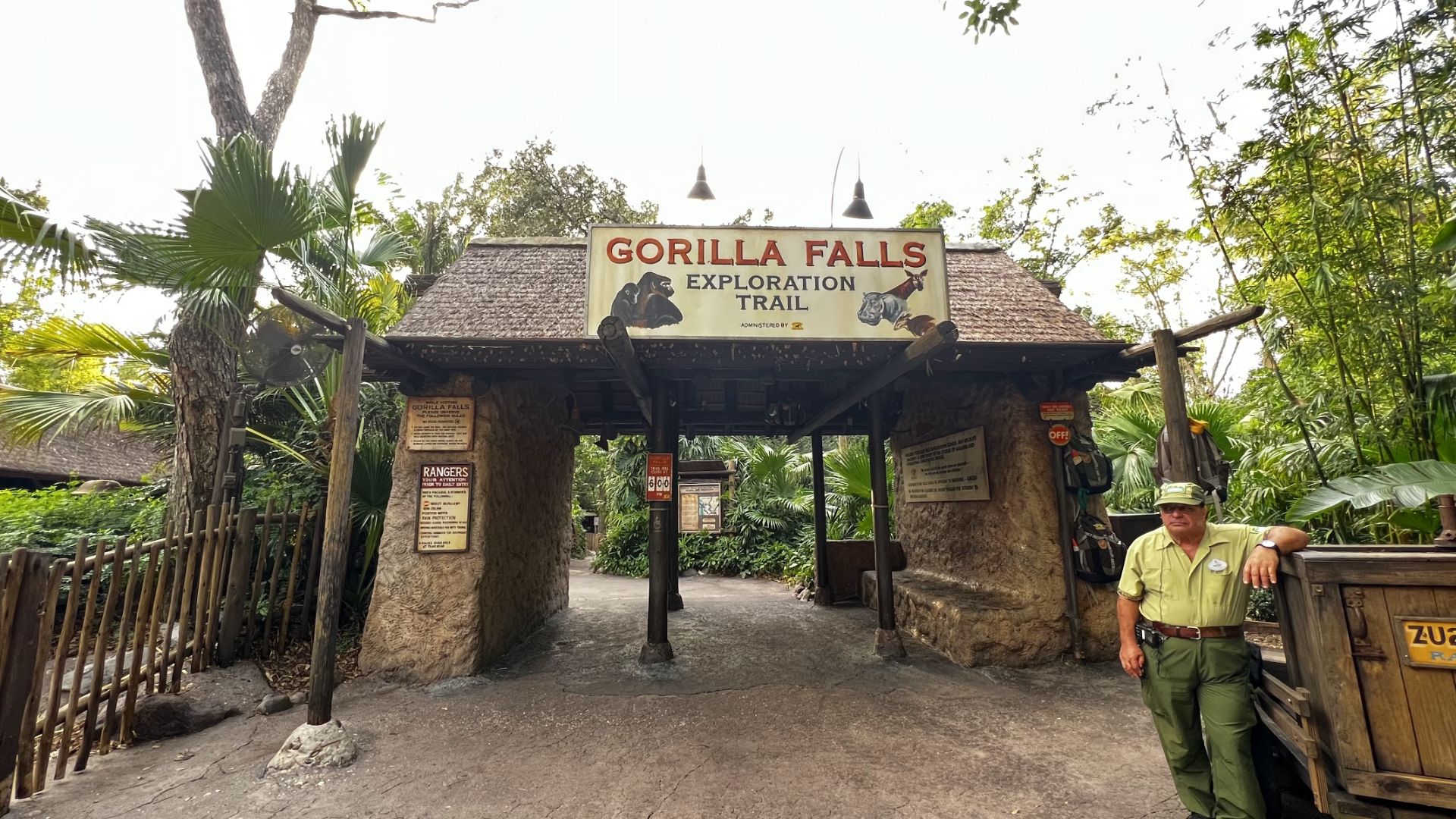 Africa: Kilimanjaro Safaris and Gorilla Falls Exploration Trail
