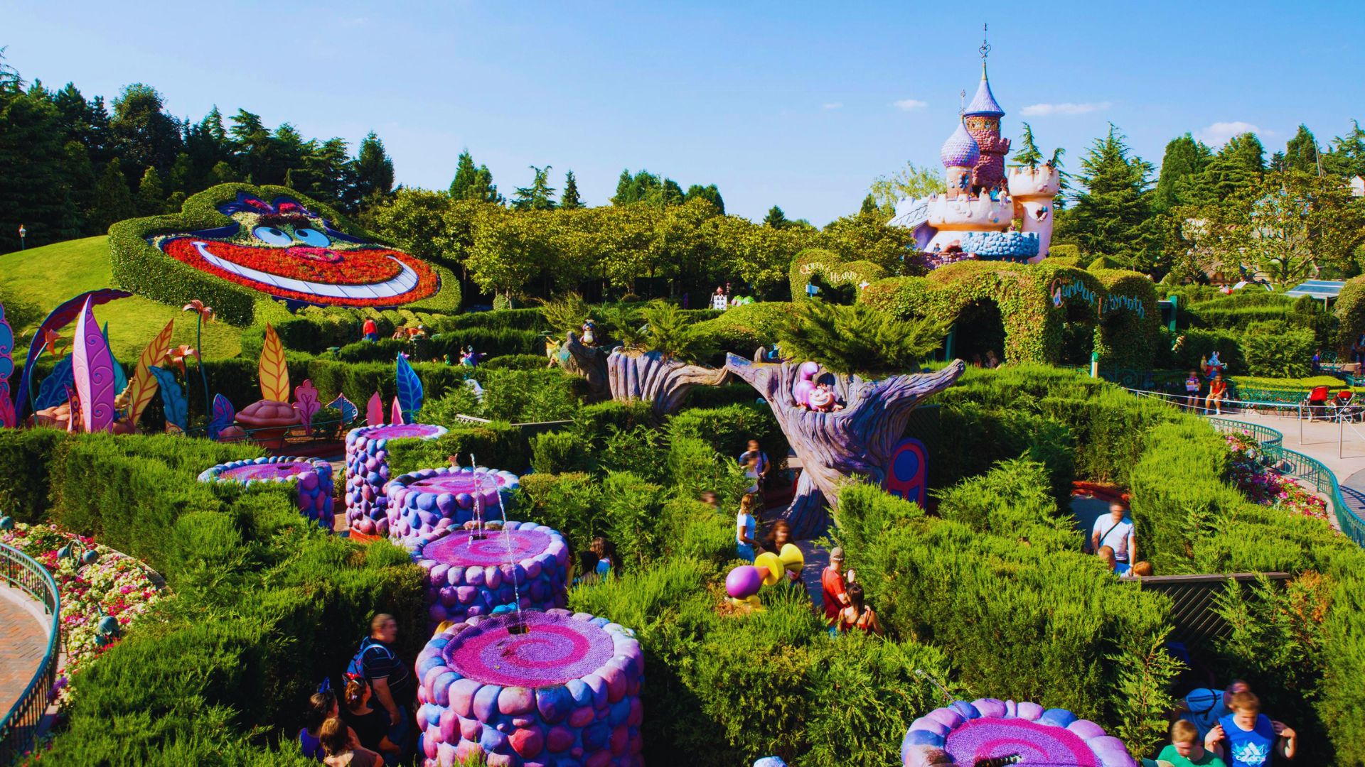 Alice's Curious Labyrinth