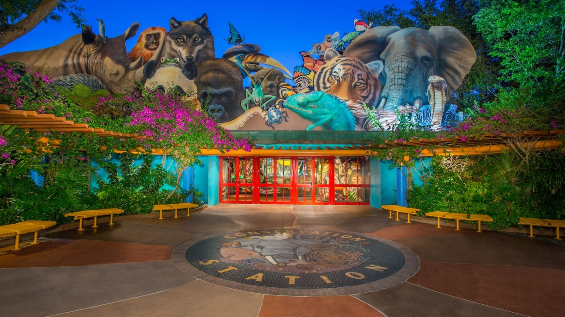 Disney's Animal Kingdom