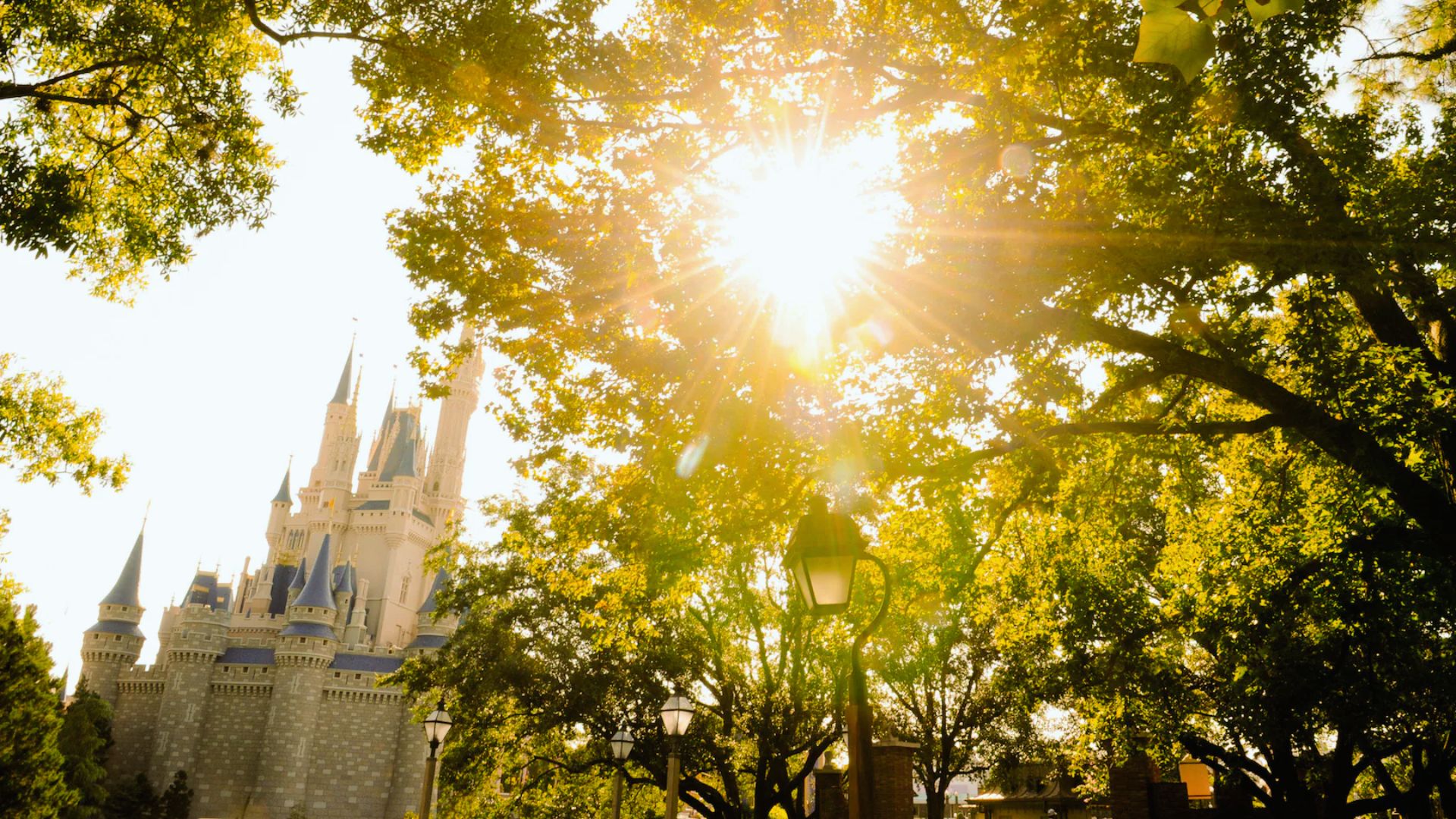 Disney's Keys to the Kingdom Tour Itinerary (Full Breakdown)