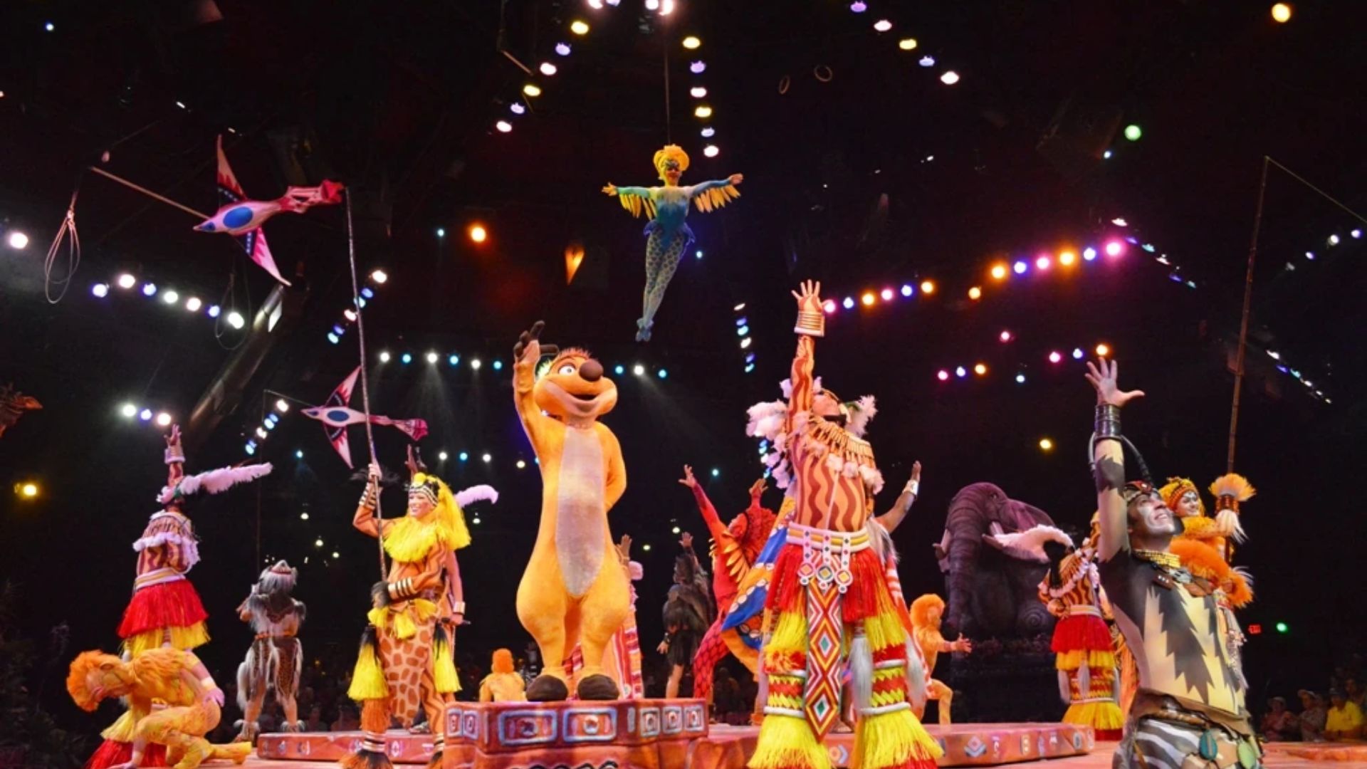 Festival of the Lion King