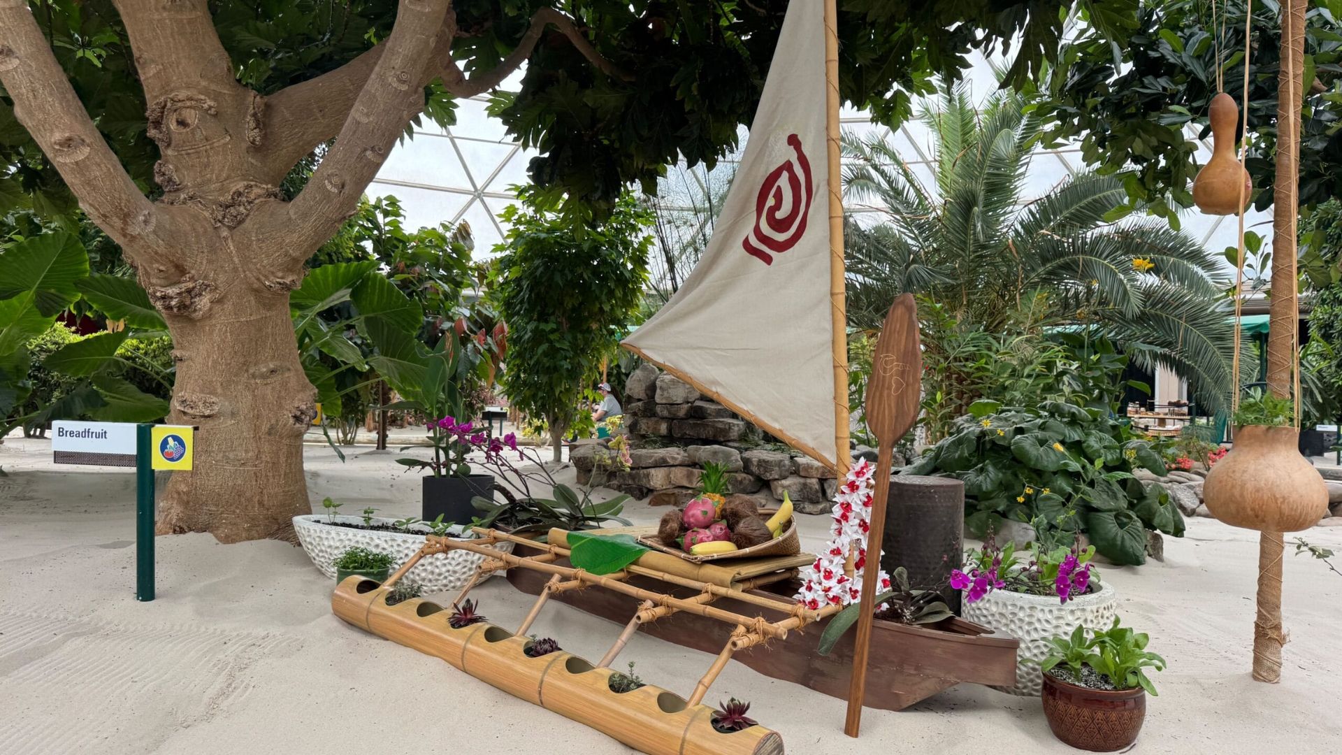 A boat with a sail perched atop a tree, creating a whimsical and surreal scene in nature.