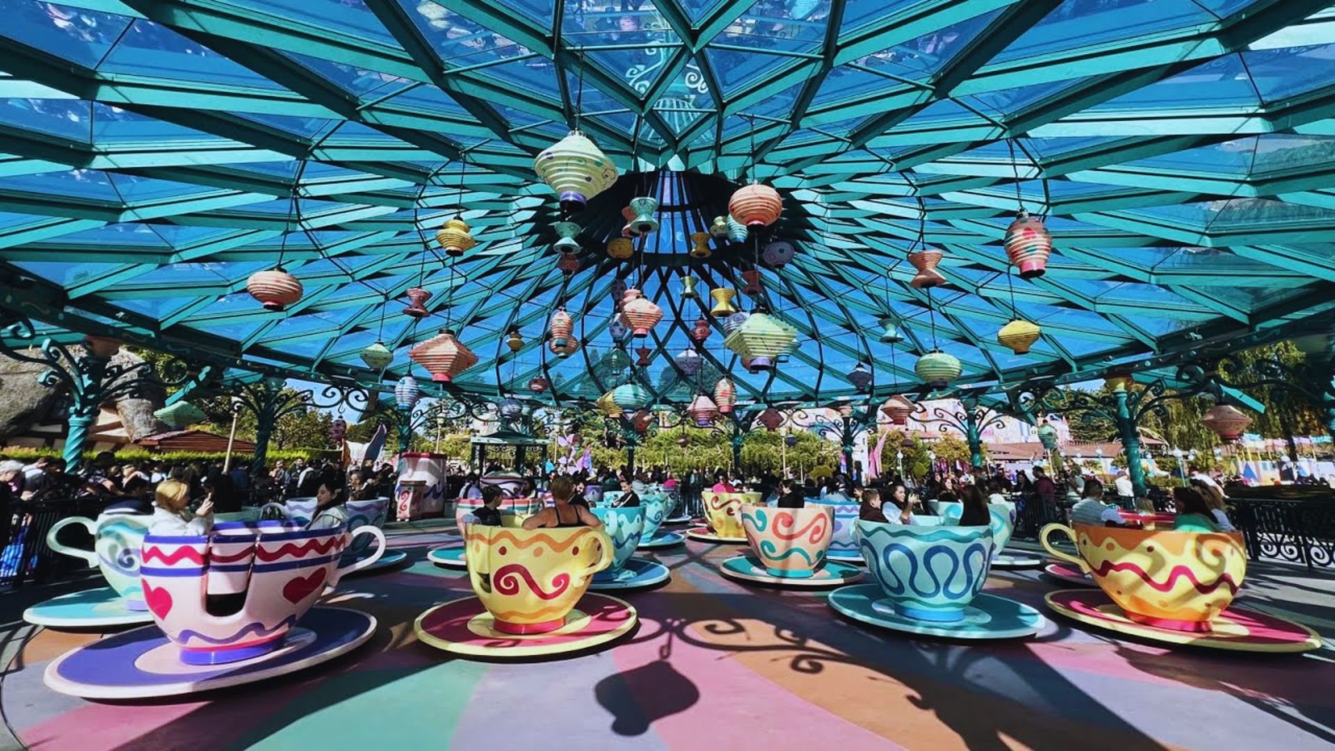 Mad Hatter's Tea Cups