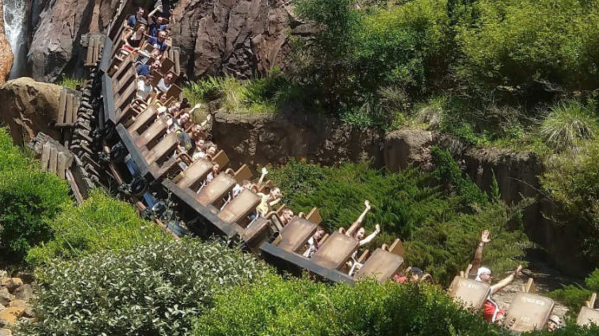 Overview of Animal Kingdom Rides