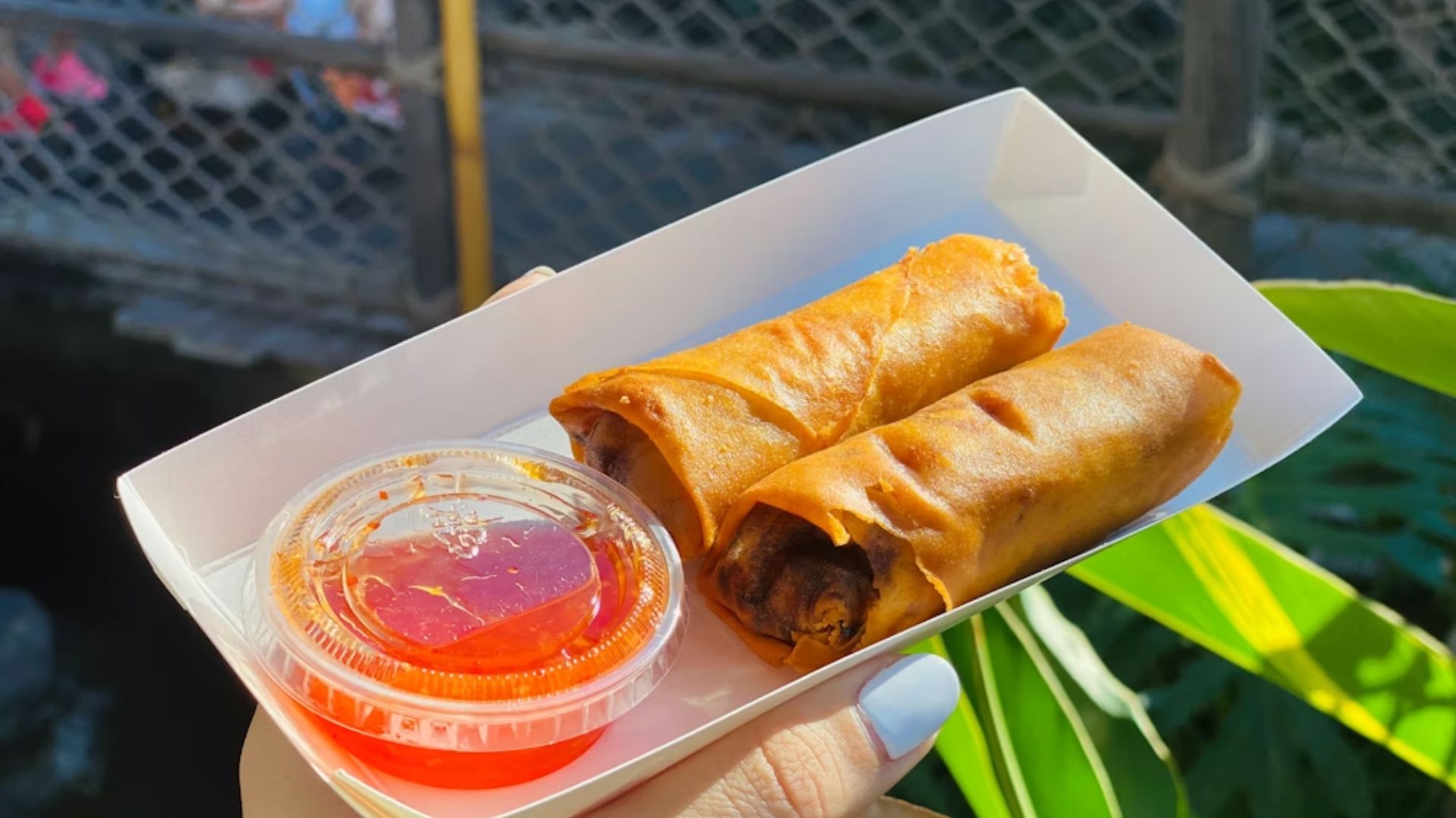 Pork Lumpia at Tropical Hideaway