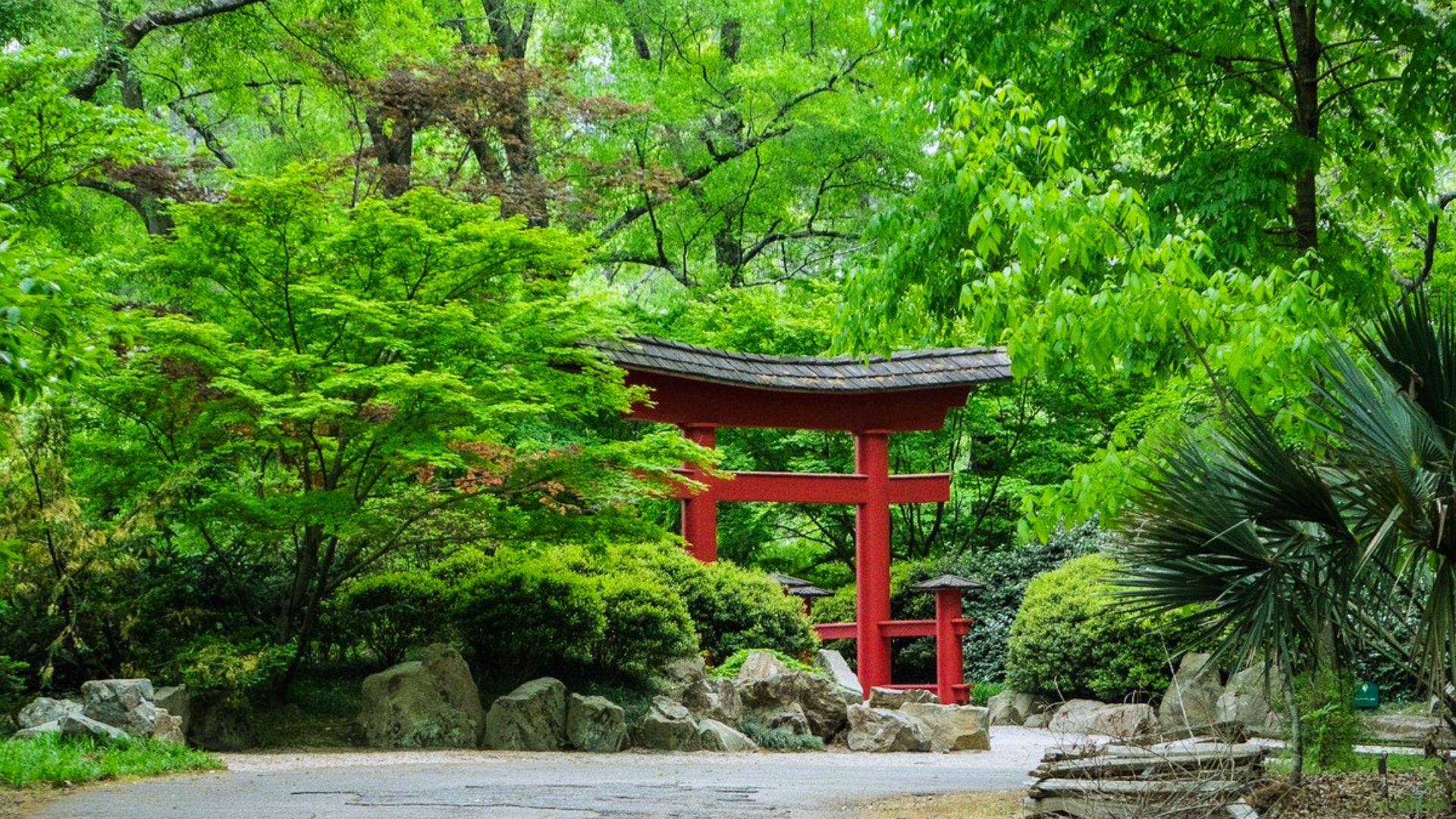 A vibrant red torii gate stands prominently in a serene Japanese garden, surrounded by lush greenery and tranquil scenery.