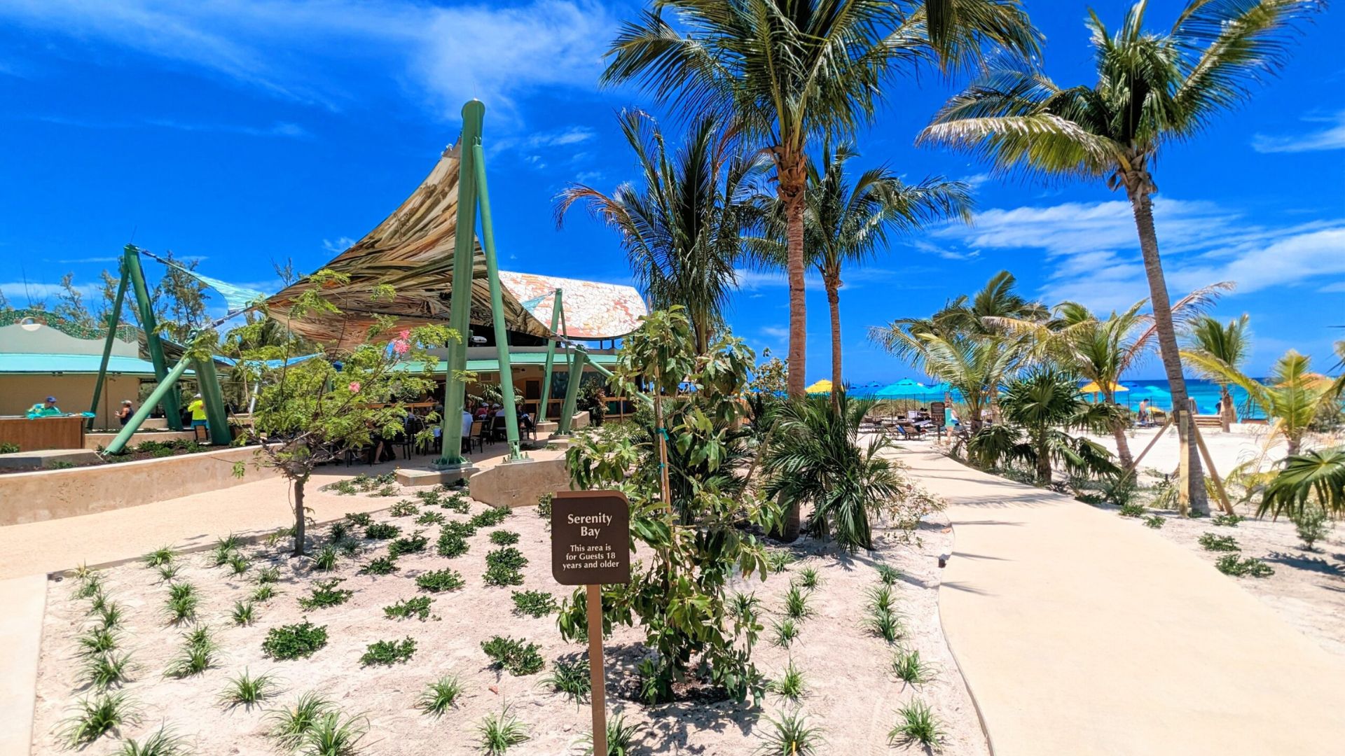 A sandy walkway lined with palm trees leads to a serene beach under a clear blue sky.