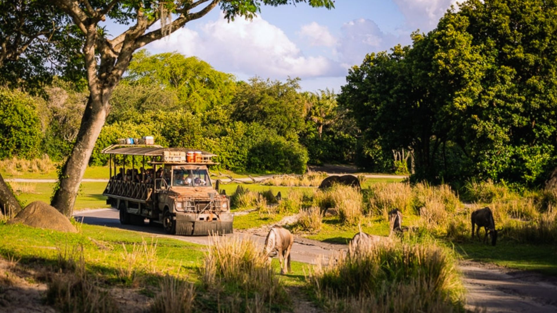 Step 5: Ride Kilimanjaro Safaris