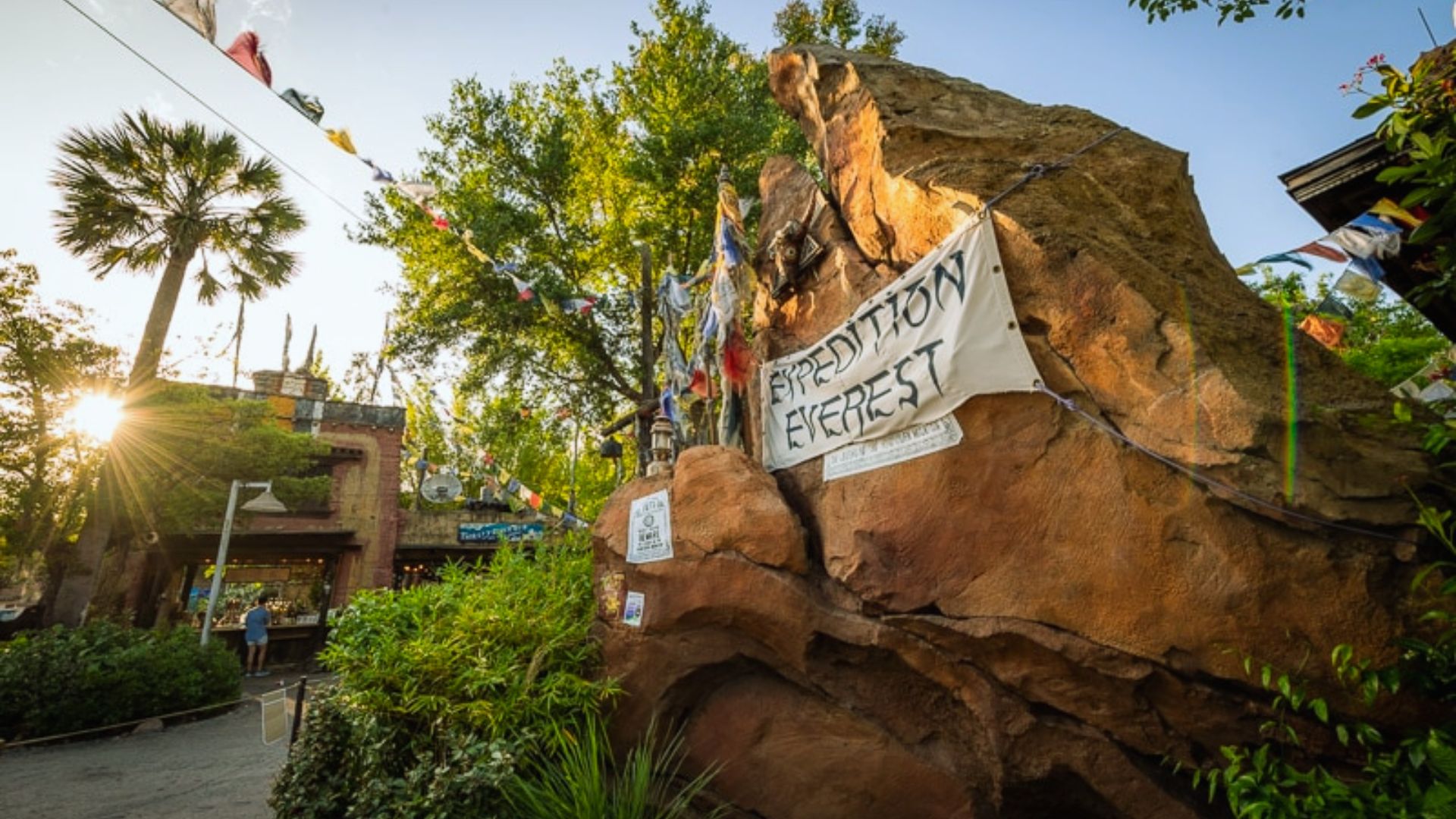 Step 6: Tackle Expedition Everest