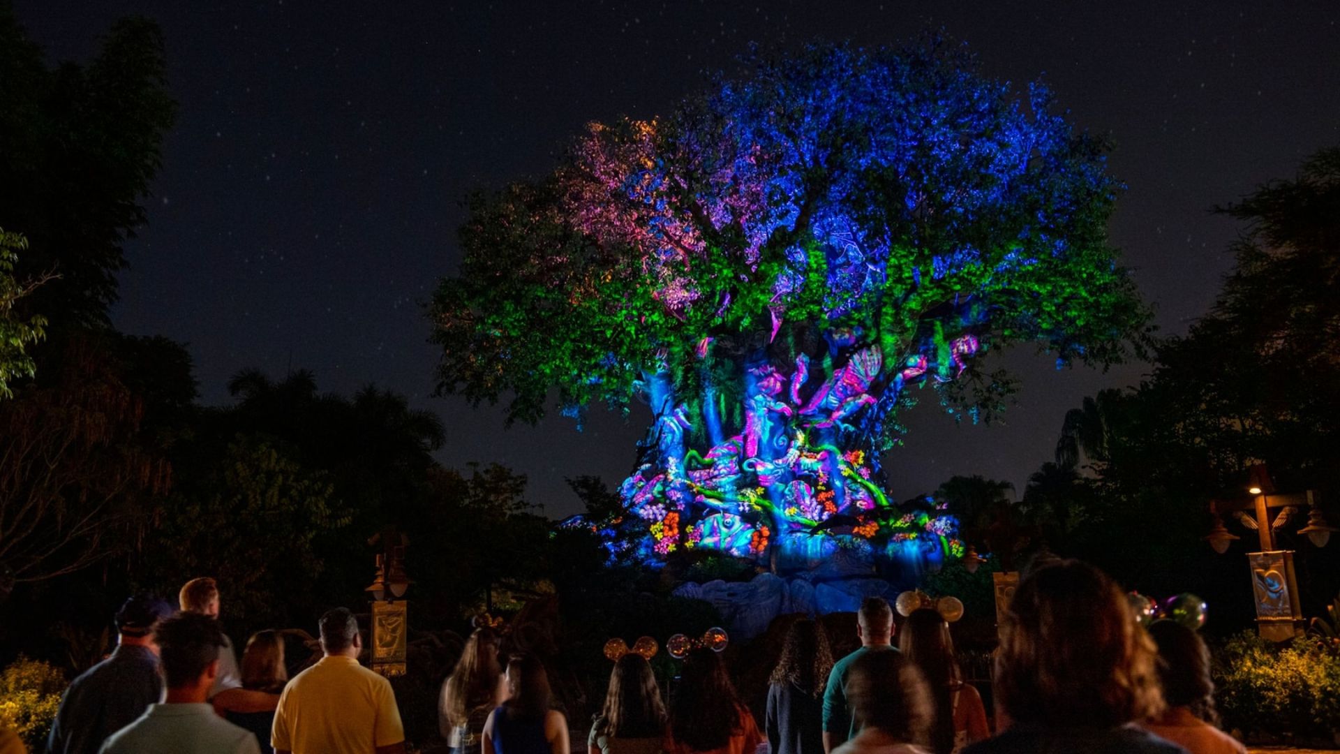 Street Performances and Tree of Life Awakenings