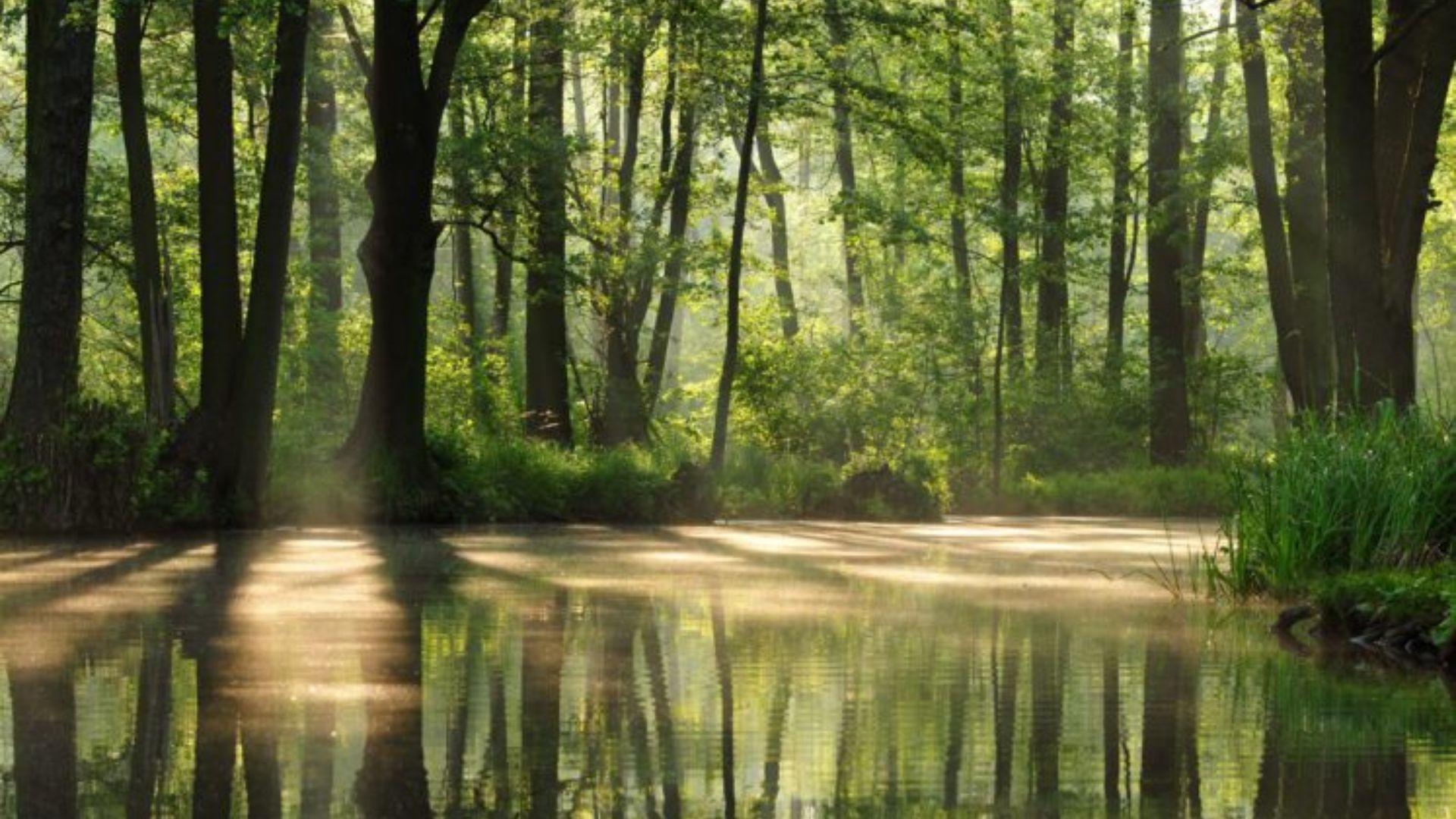 Visit Brandenburg's Lakes and Nature