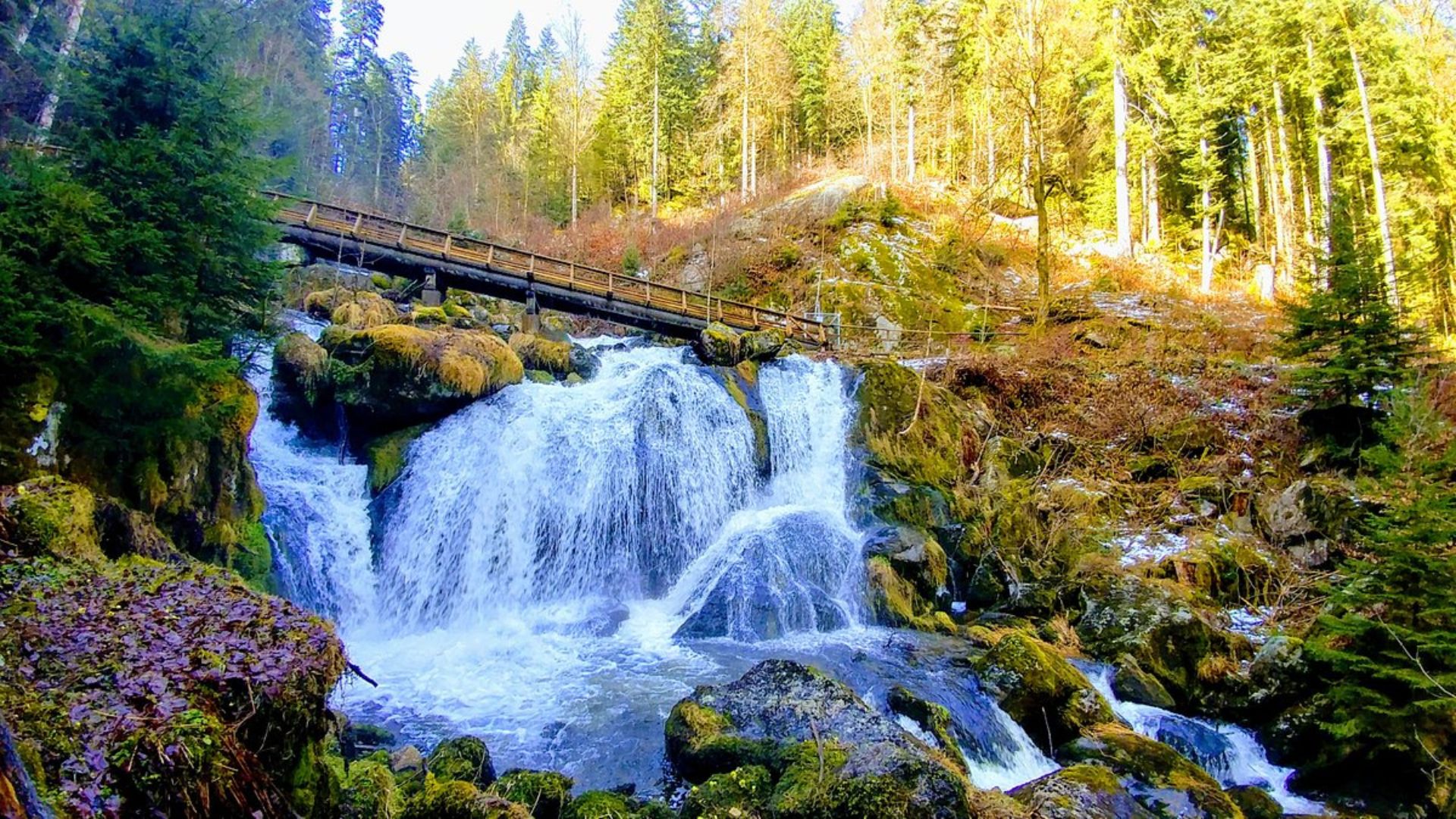 A serene waterfall cascades through the woods, with a rustic wooden bridge crossing over the flowing water.