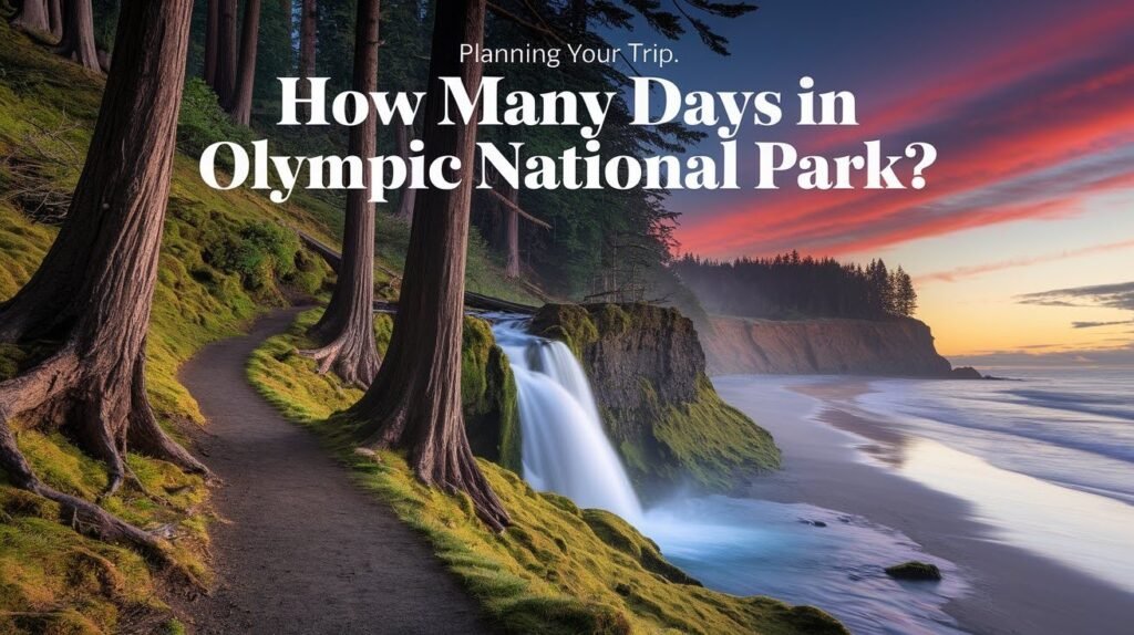 Planning Your Trip