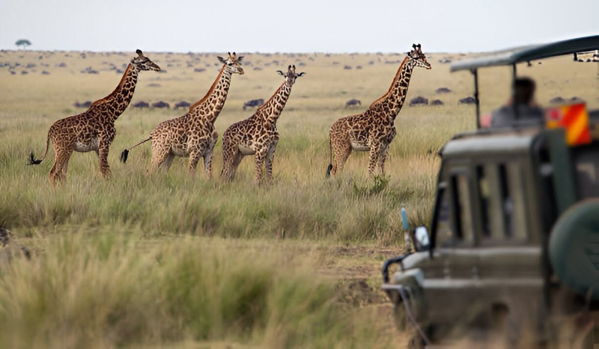 Southern Africa