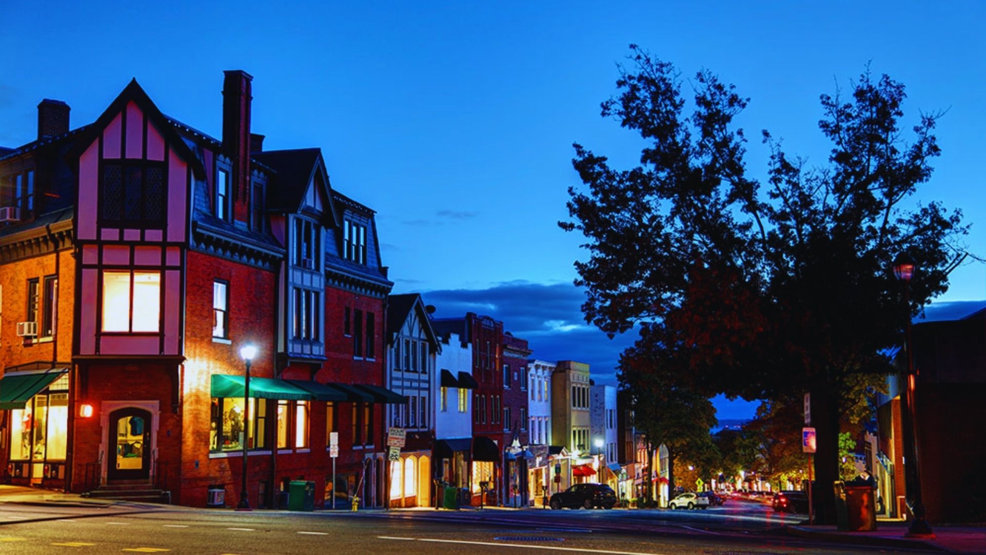 A street lined with buildings, featuring a tree centrally located among them.