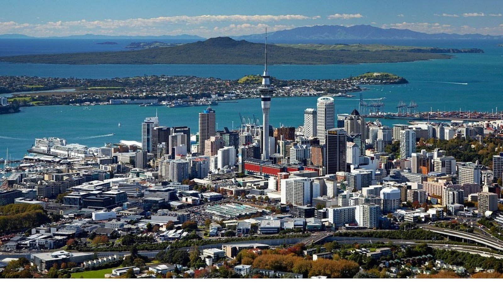 Arrive in Auckland & Experience the City