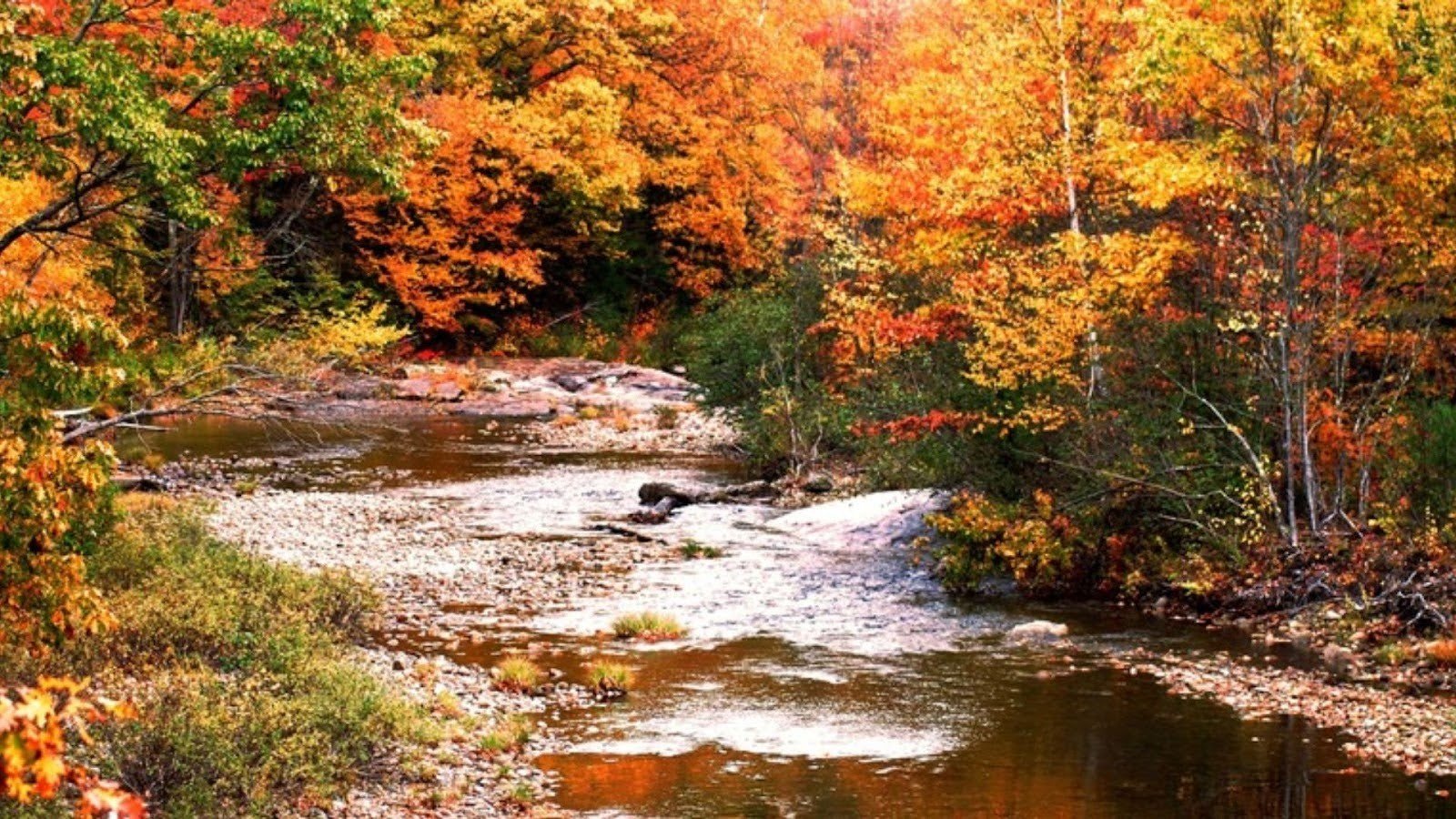 Easy to Reach From Major Southern Cities