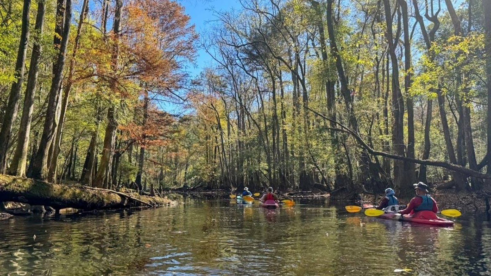 Enjoy the Park by Water