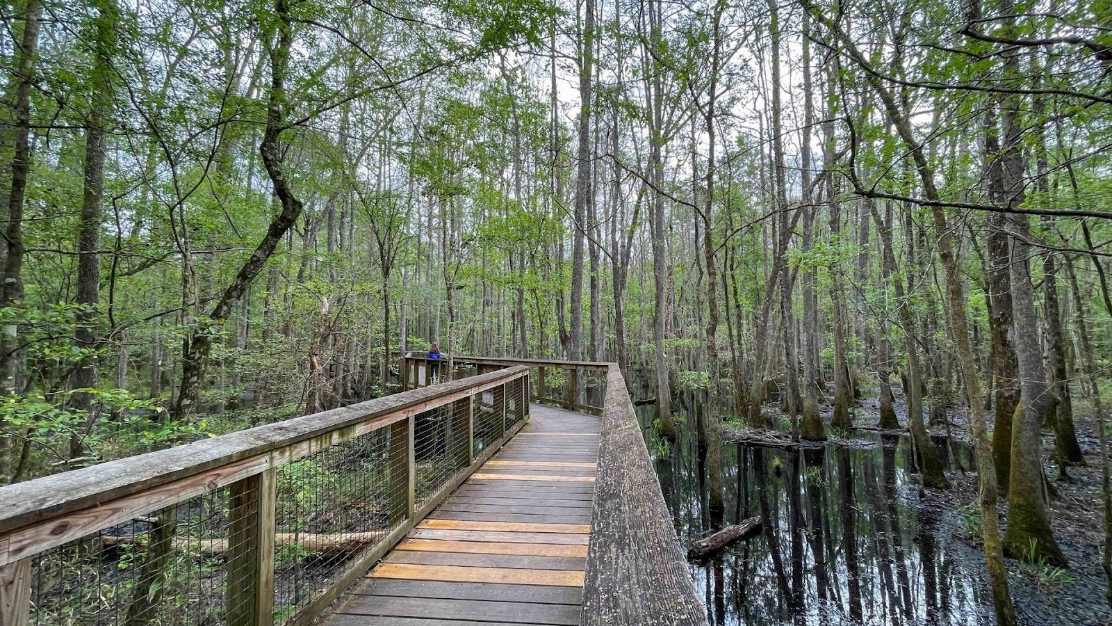 Family and Accessibility-Friendly Trails