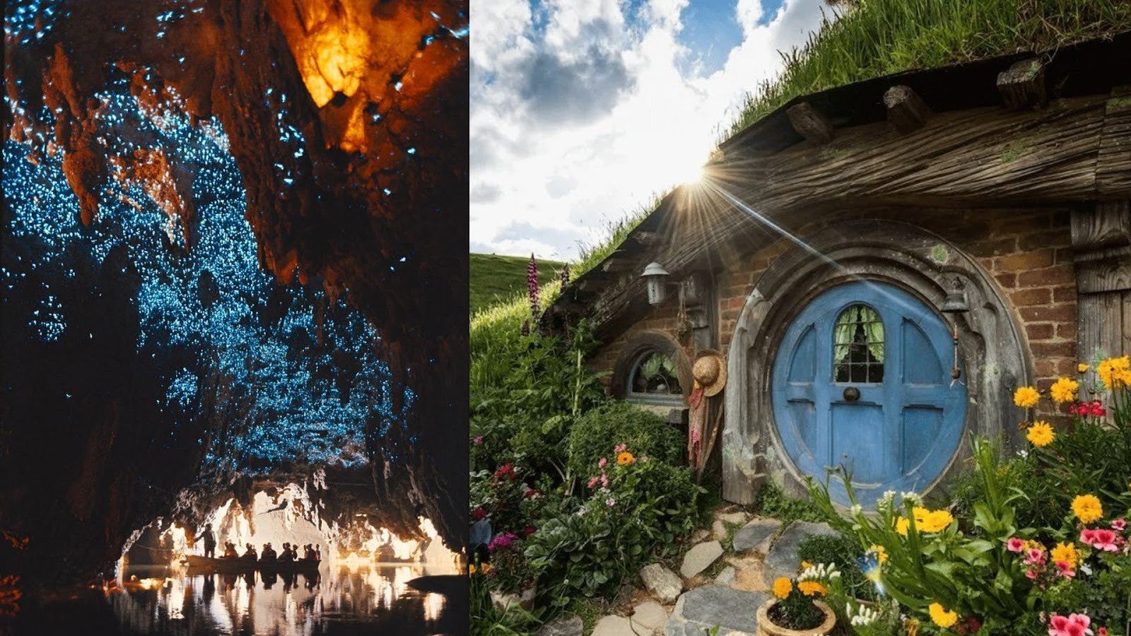 Hobbiton & Waitomo Glowworm Caves