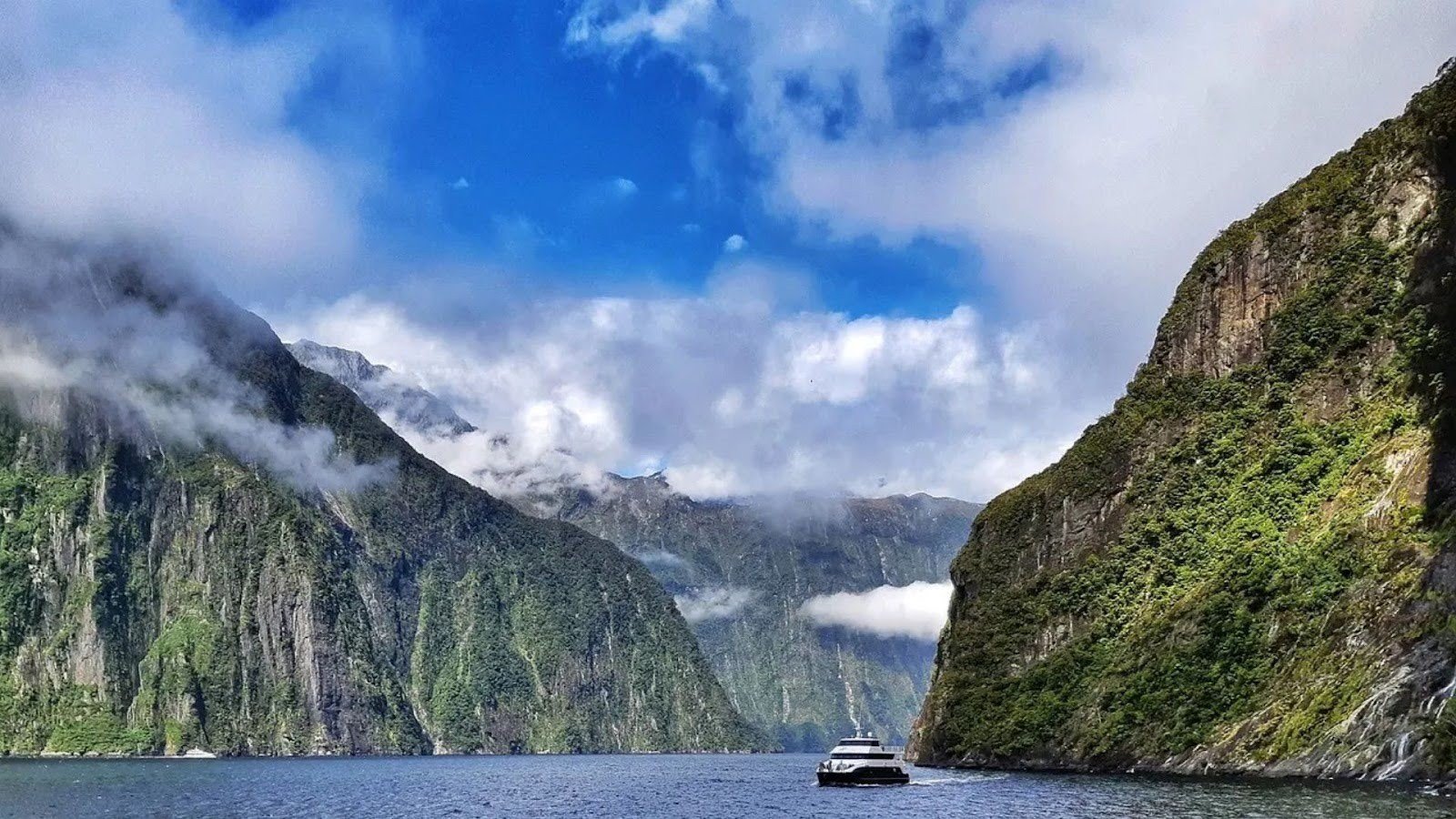 Milford Sound Day Trip