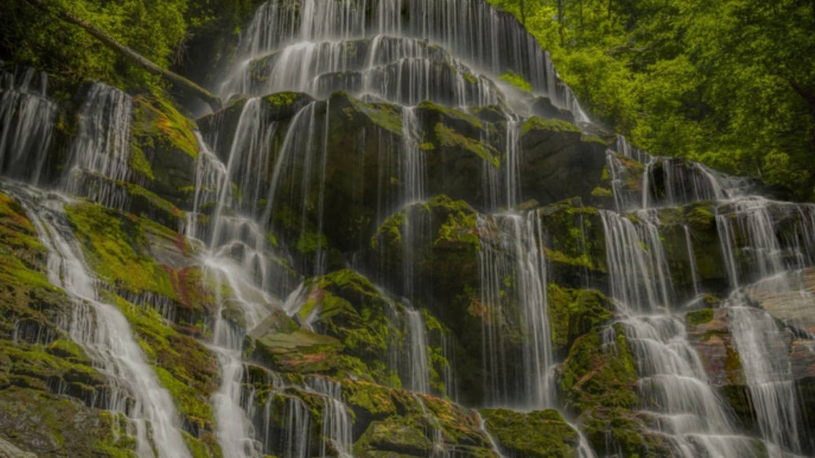 Overview of the Yellow Branch Falls Trail