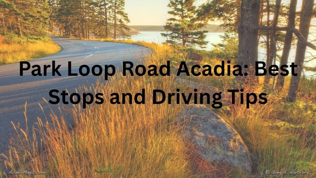 Park Loop Road Acadia