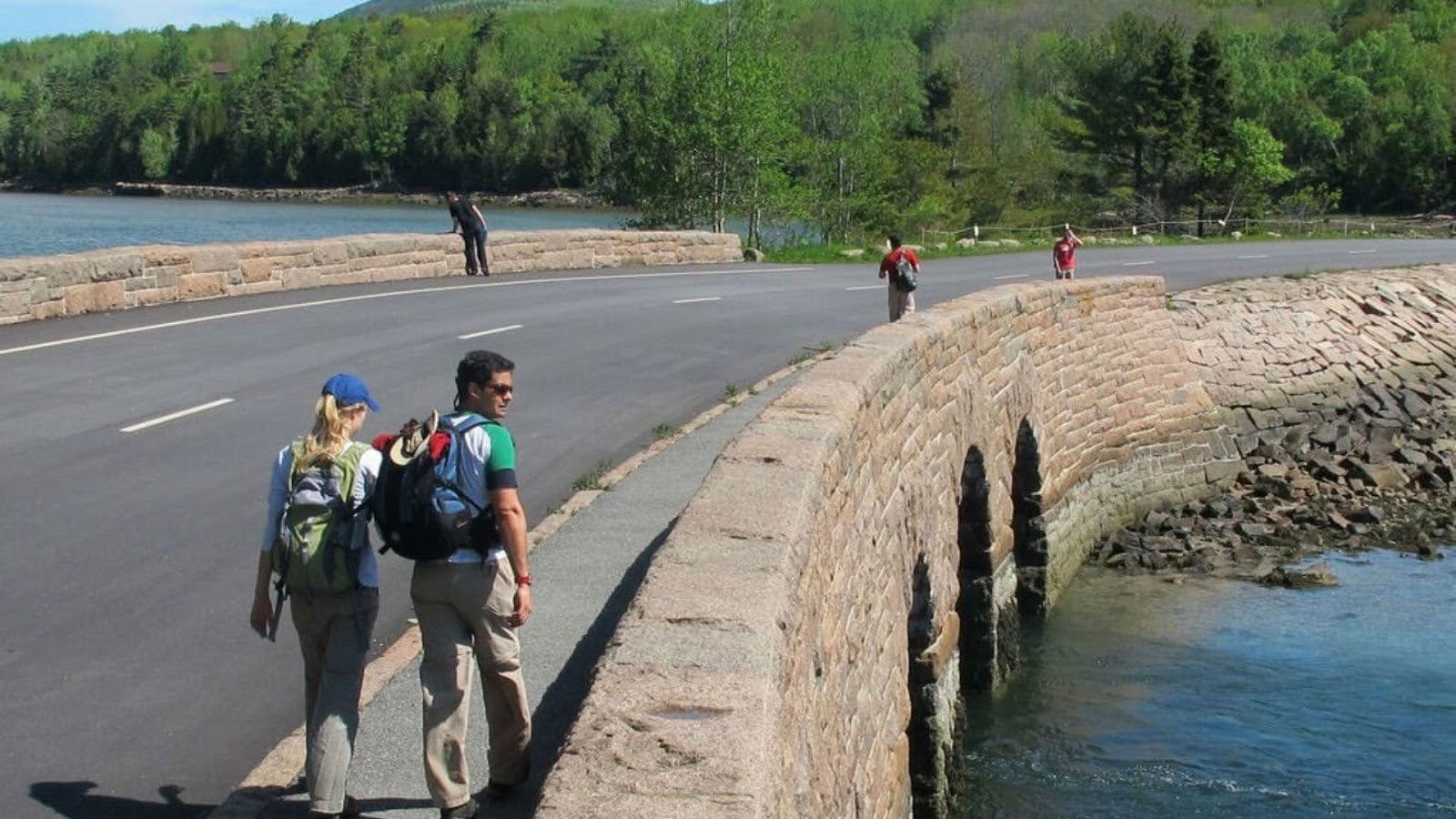 Planning Your Park Loop Road Visit