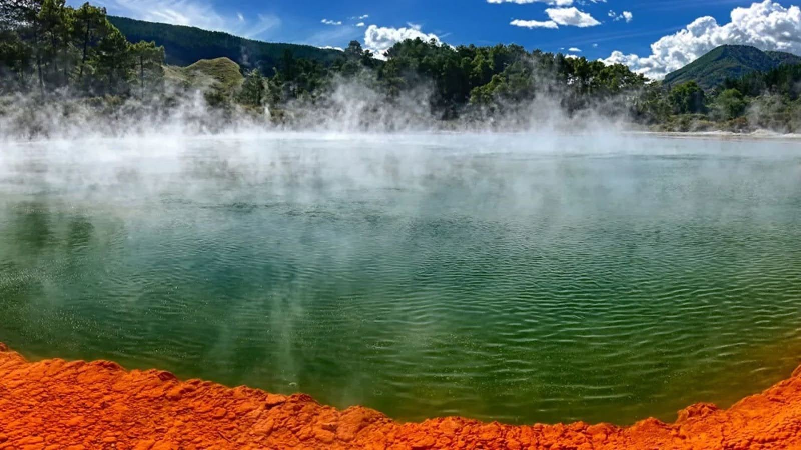 Rotorua's Geothermal & Cultural Wonders
