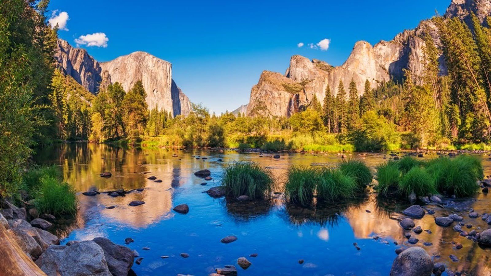 Top Family-Friendly Things to Do in Yosemite