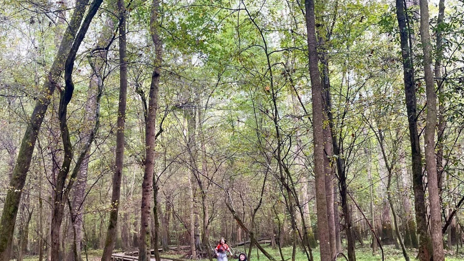 Visit Any Season for a Different Experience