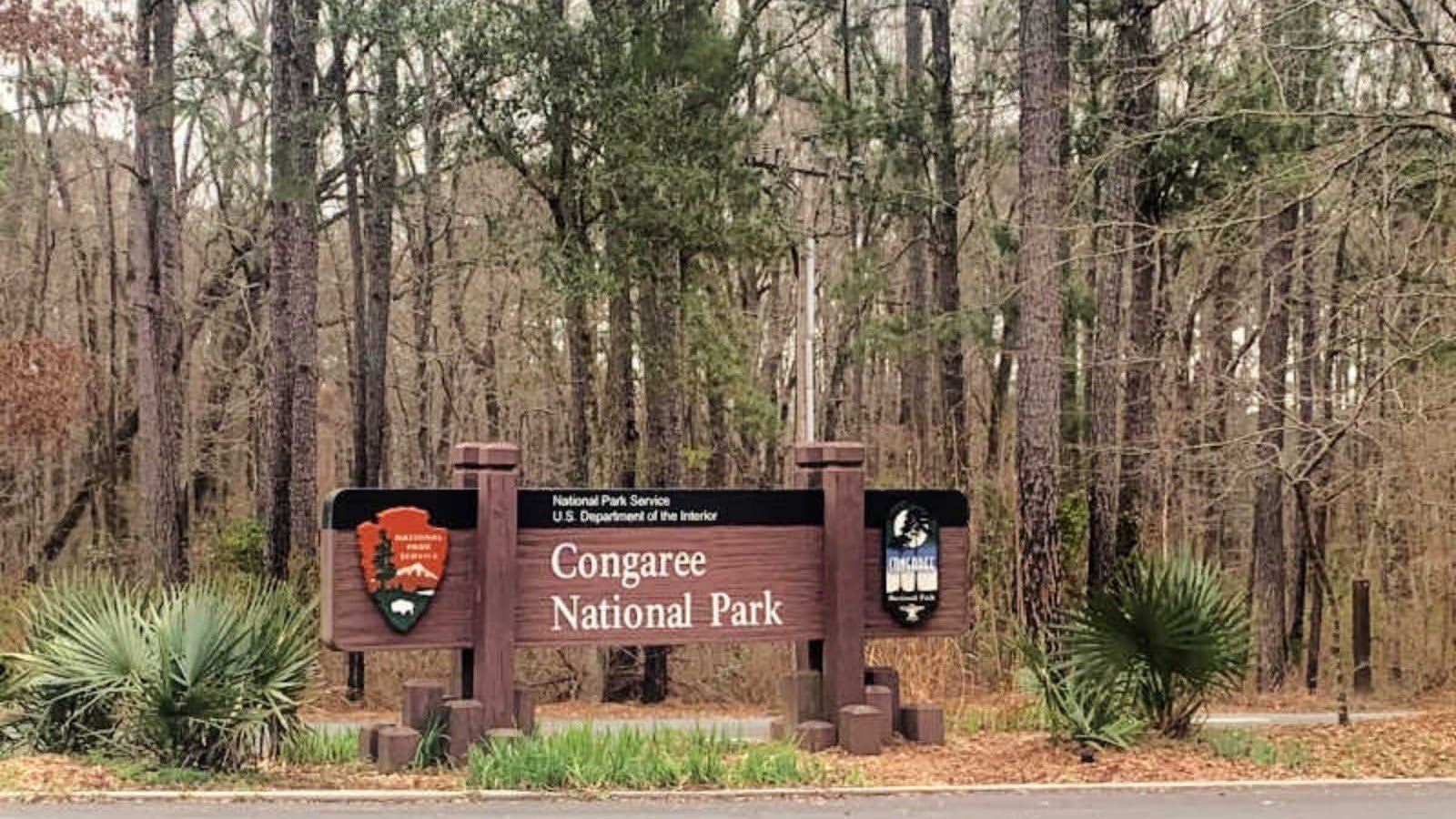 Why You Should Visit Congaree National Park