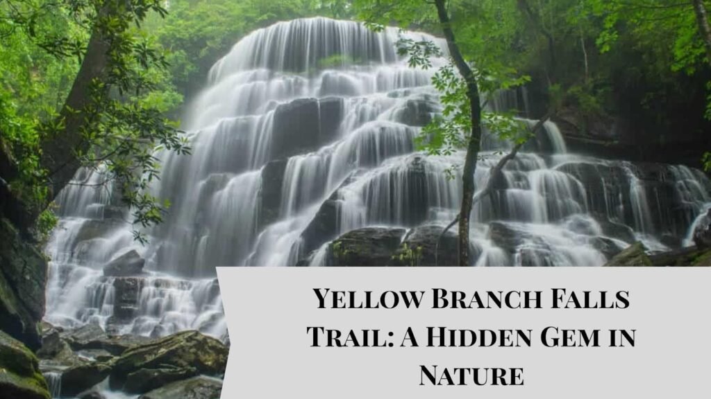 Yellow Branch Falls Trail: A Hidden Gem in Nature Yellow Branch Falls Trail