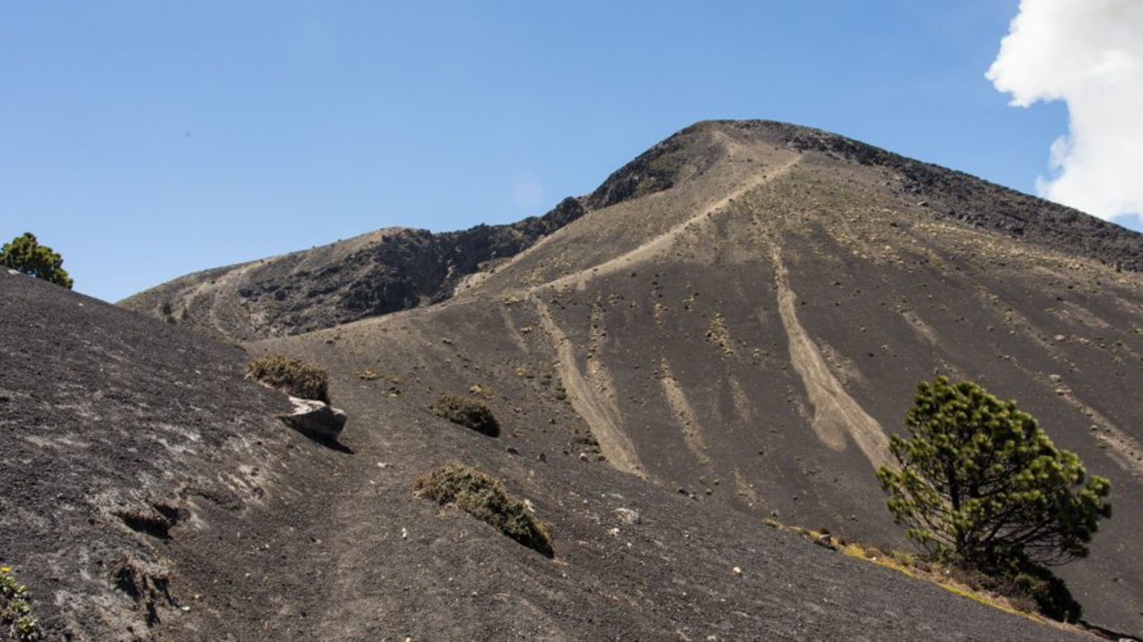 How does Your Body Handle the Elevation