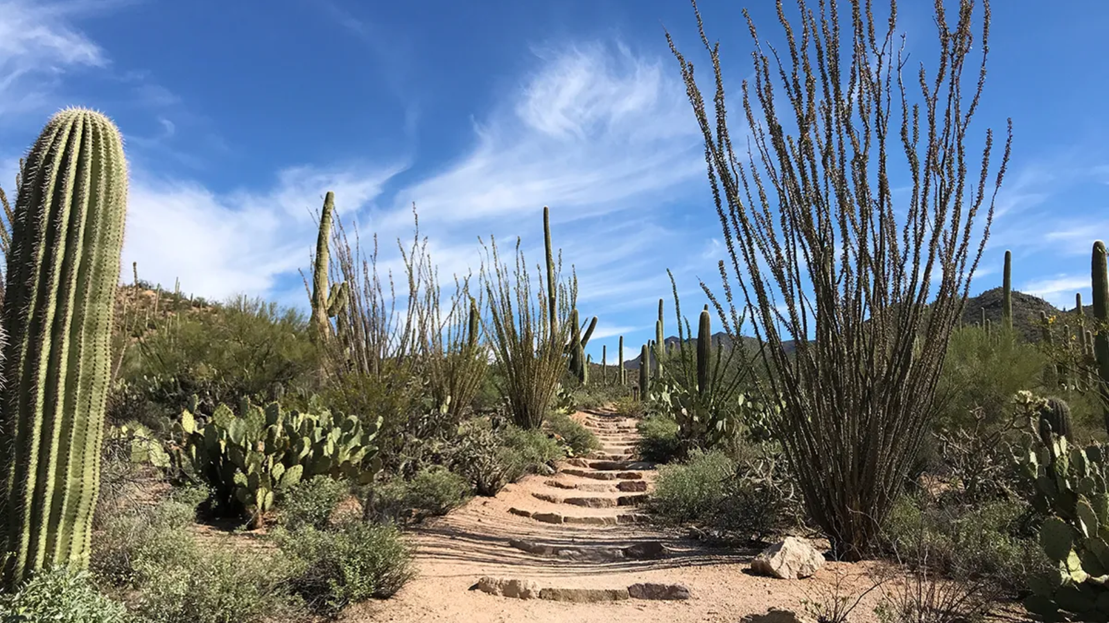 Valley View Overlook Trail