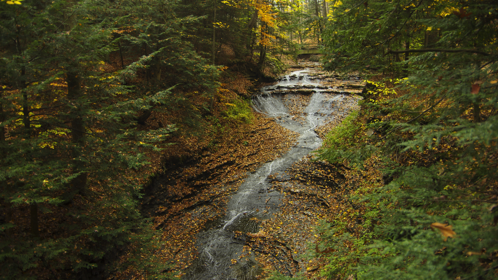 Cuyahoga Valley National Park, Ohio
