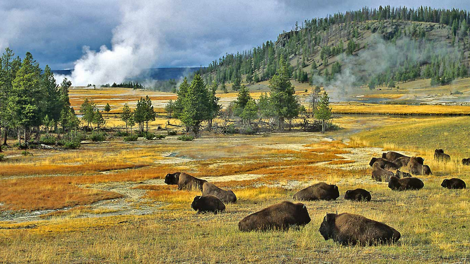 Yellowstone National Park, Wyoming