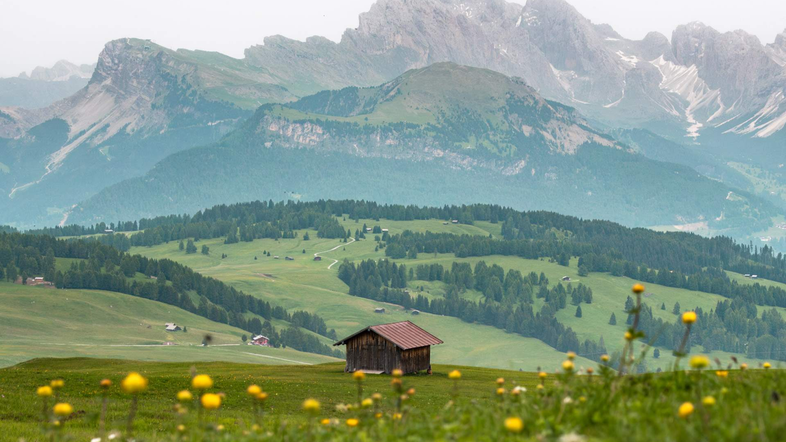Alpe di Siusi / Siusi allo Sciliar