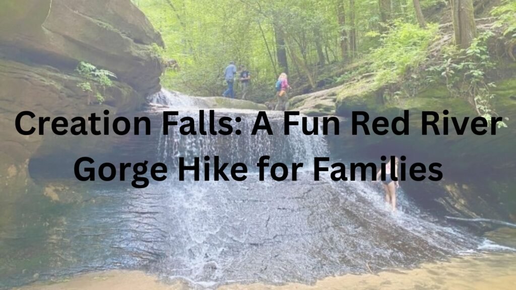 Creation Falls: A Fun Red River Gorge Hike for Families Creation Falls