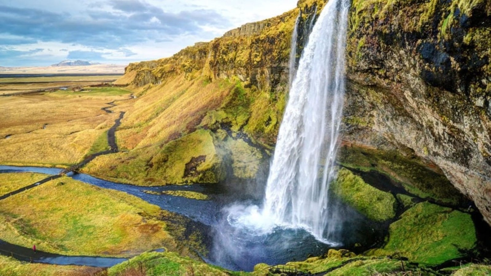 Before You Hit the Road