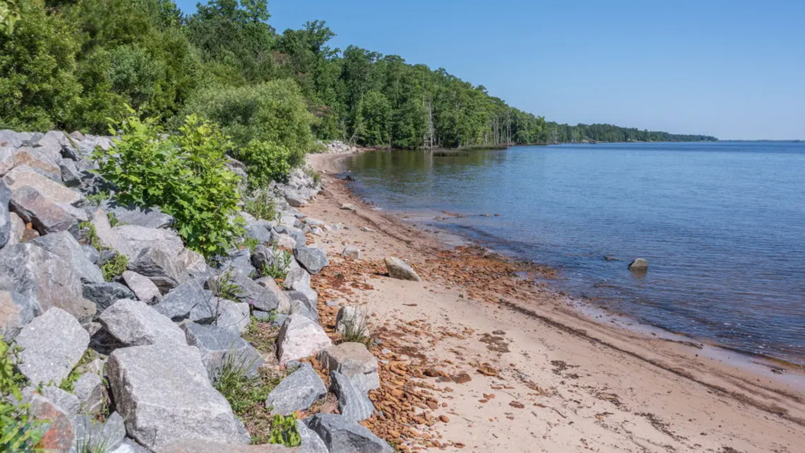 Croatan National Forest, North Carolina