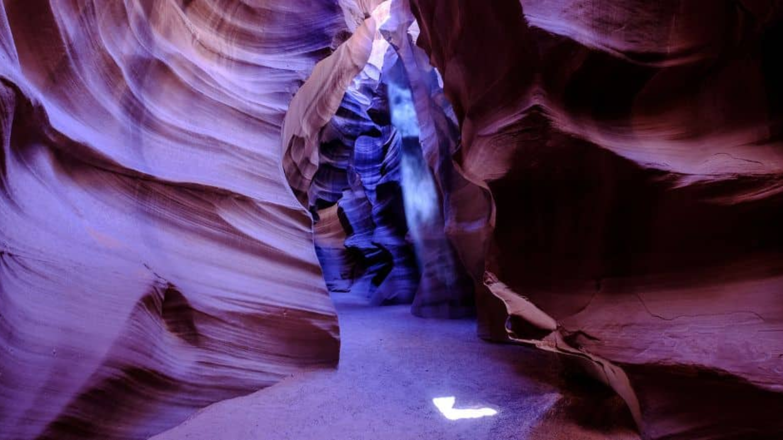 Off-Season Considerations