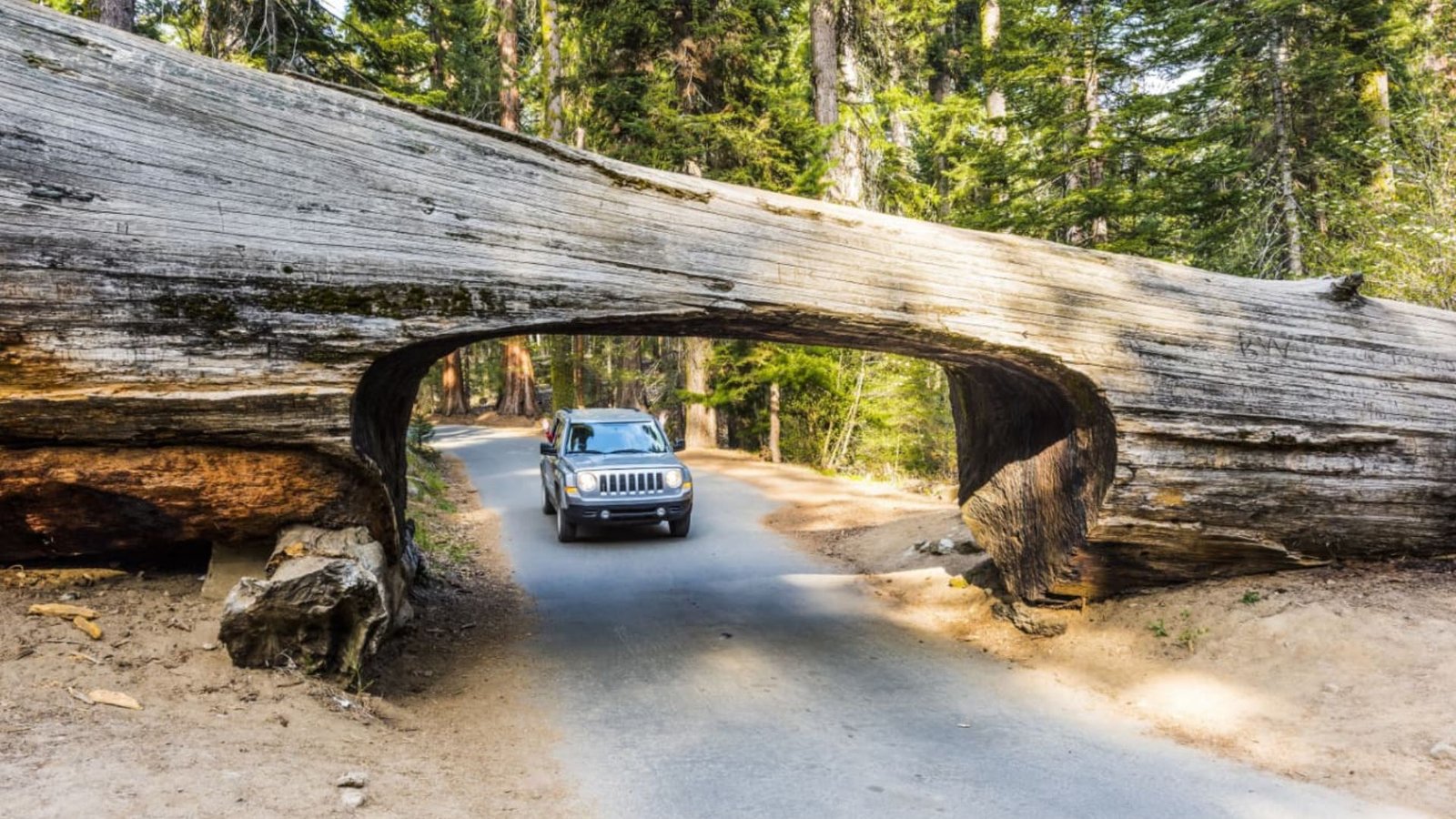 How to Get to Sequoia National Park