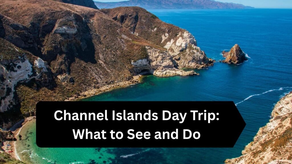 Channel Islands Day Trip: What to See and Do Channel Islands Day Trip