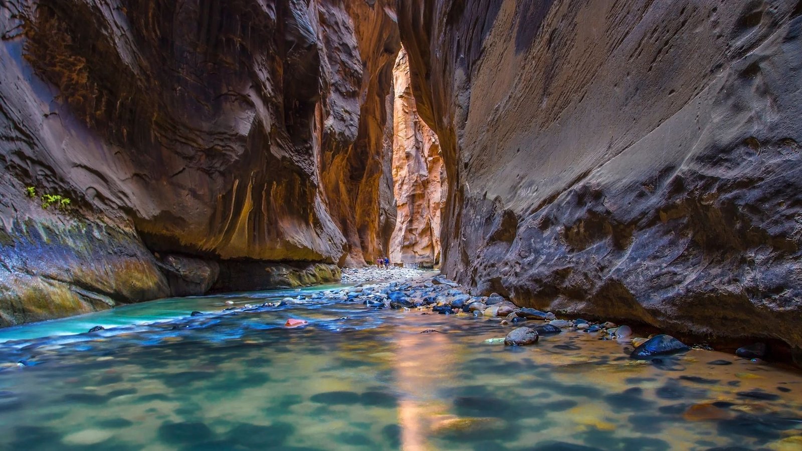 Temperature Snapshot