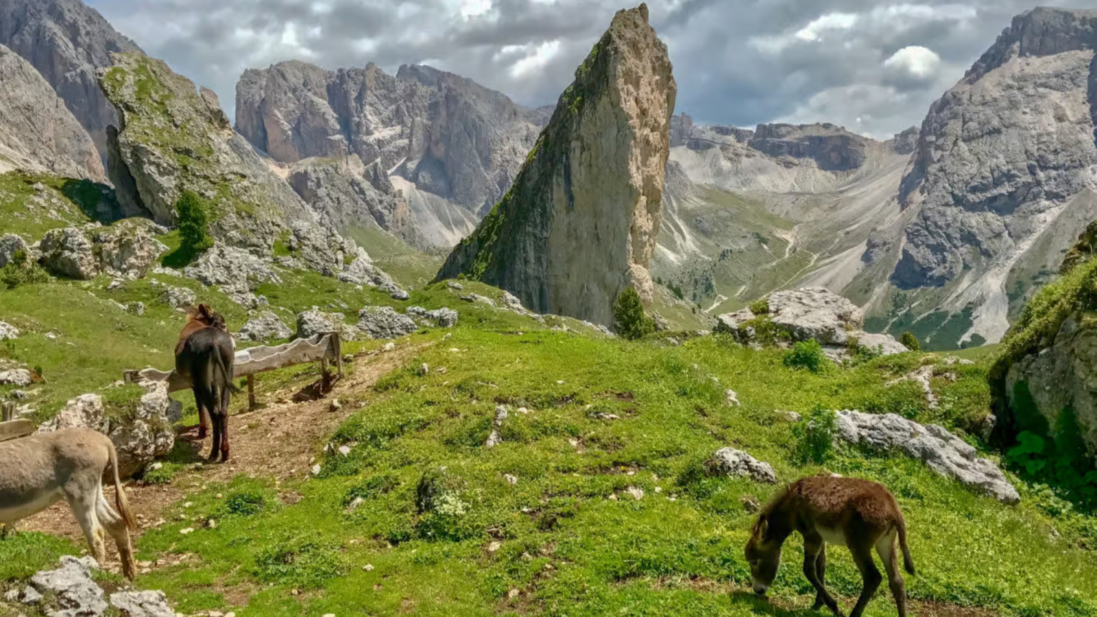 Selva di Val Gardena