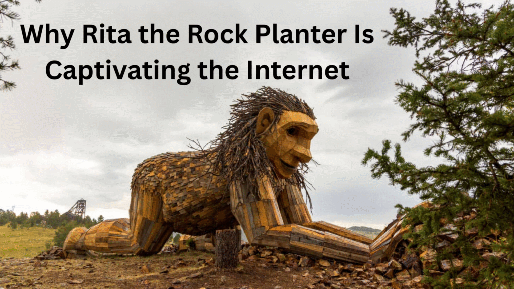 Why is Rita the Rock Planter Captivating the Internet