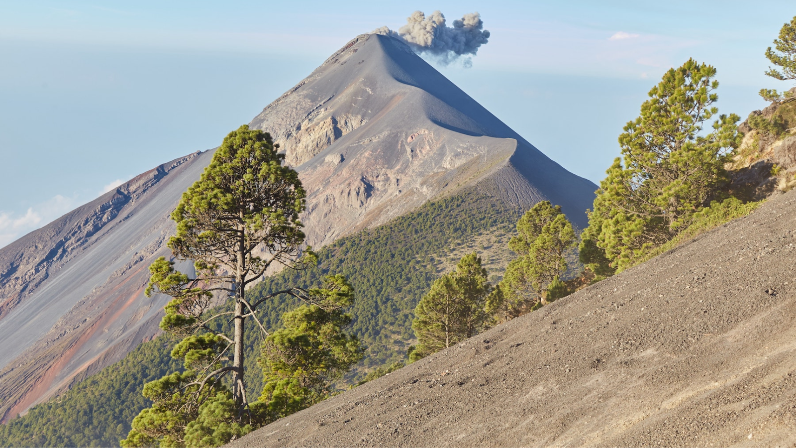 The Numbers You Need to Know