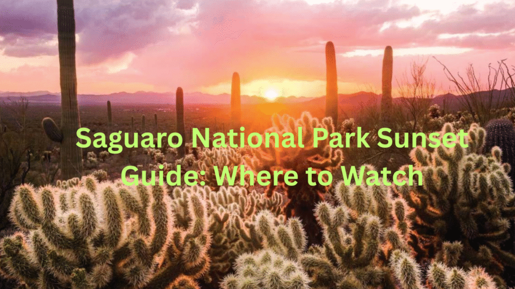 Saguaro National Park Sunset Guide: Where to Watch Saguaro National Park Sunset Guide