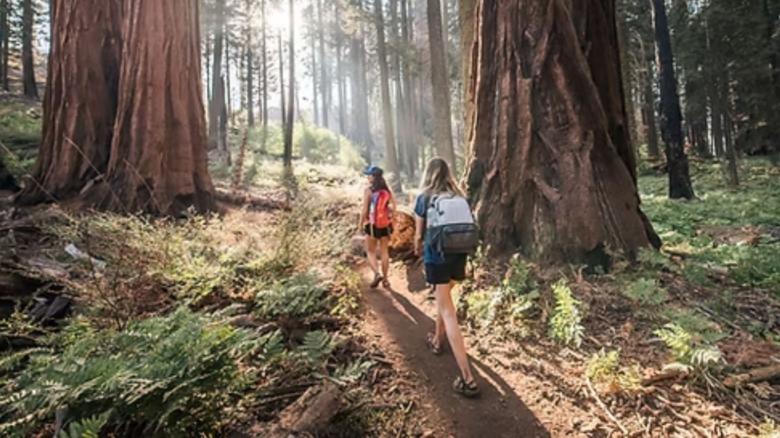 Where to Stay and What to Eat